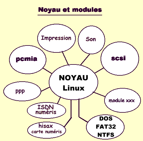 noyau